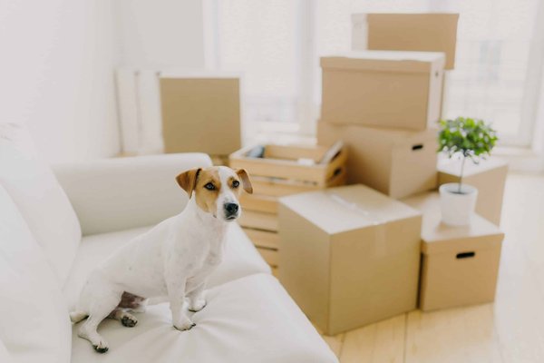 How Can You Create a Cozy Reading Space That Encourages Unwinding and Literary Exploration?